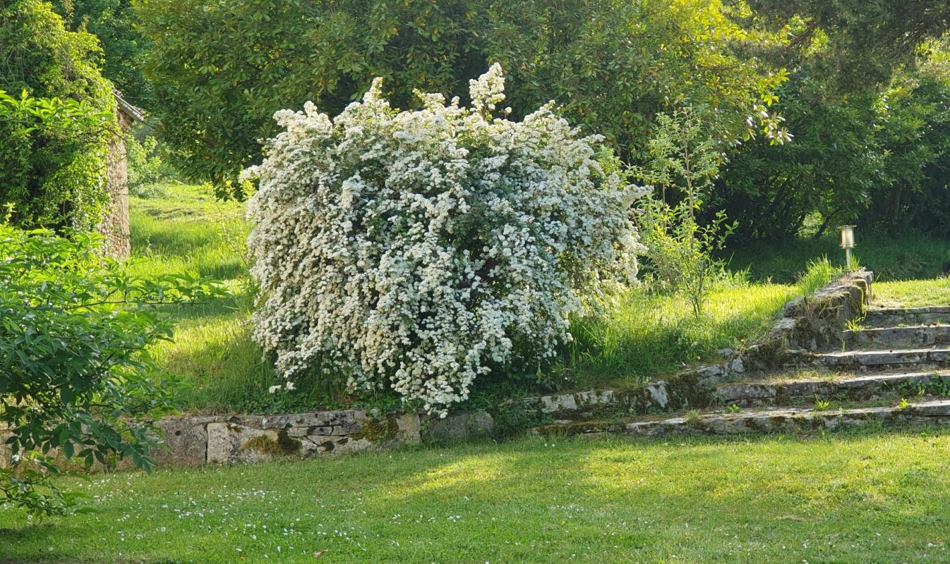 11 bedroom maison situee en campagne in Ventenac, Ariège, France