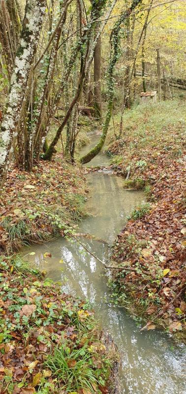 11 bedroom maison situee en campagne in Ventenac, Ariège, France