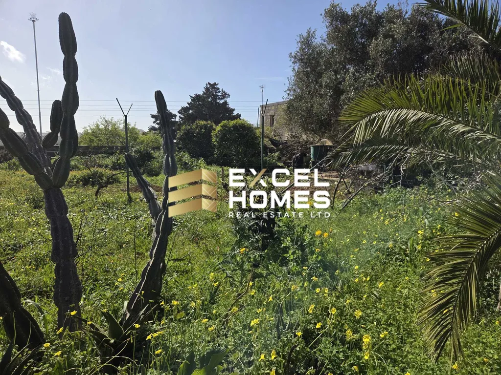 Bungalow in Dingli, Malta – 66497