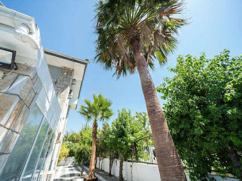 Commanding six bedroom Villa in Maras, Dalyan – TC1949