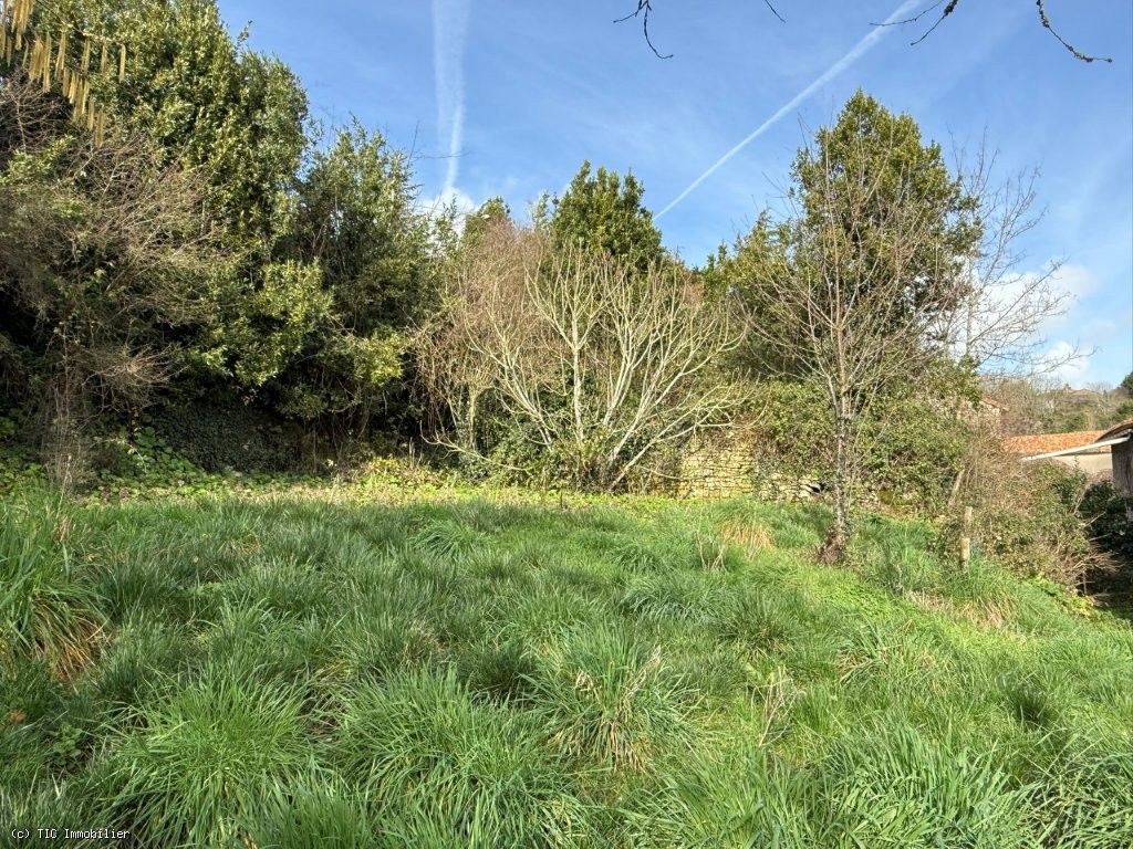 3 bedroom House in Nanteuil-En-Vallee, Nanteuil-En-Vallée, France – r7428