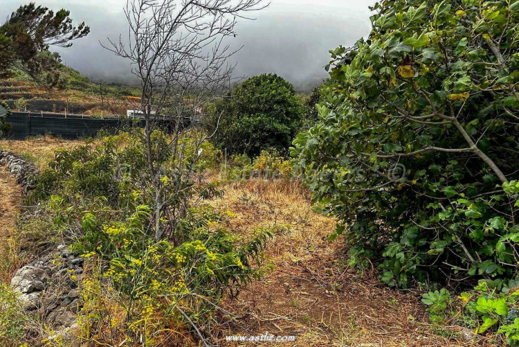 land / terreno in Buenavista Del Norte, El Palmar, Spain – AAEP1876