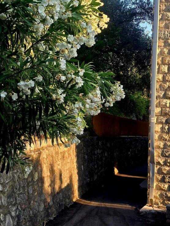 An apartment with authentic charm in the heart of Rafailovichi, Montenegro