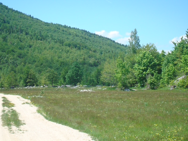 LAND FOR SALE – RUDINICE, PLUŽINE MUNICIPALITY