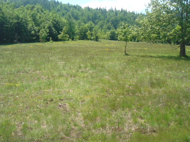 LAND FOR SALE – RUDINICE, PLUŽINE MUNICIPALITY