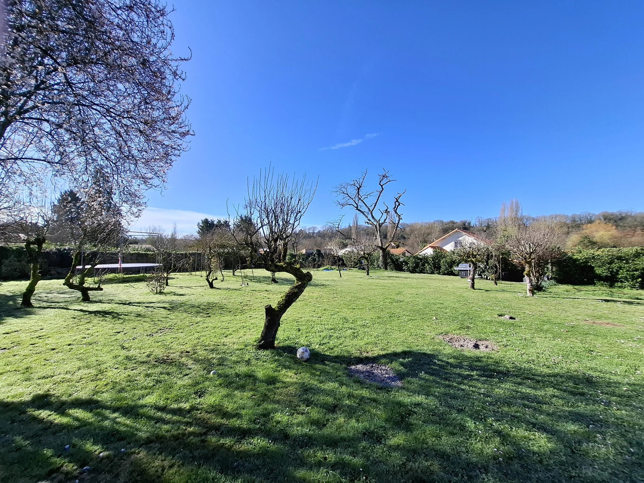 Fabulous Town House with business potential close to all amenities, Poitou-Charentes – France – BVI84235