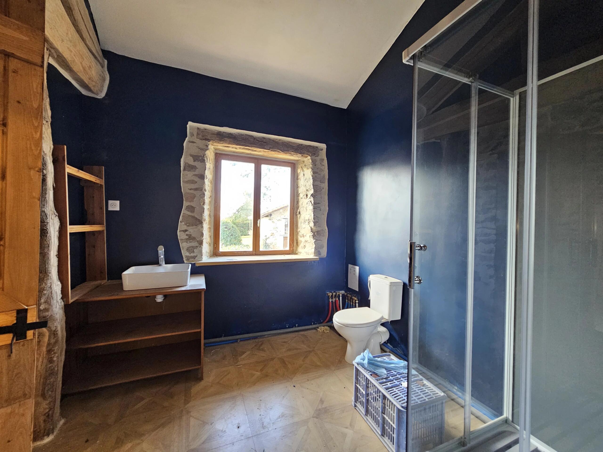 A Tale of Two Cottages – Live In One, Create the Other!, Poitou-Charentes – France – BVI84353