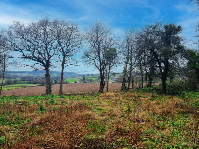 Charming Detached House, ready to move into, with a large garden and excellent road links in Manche, Normandy