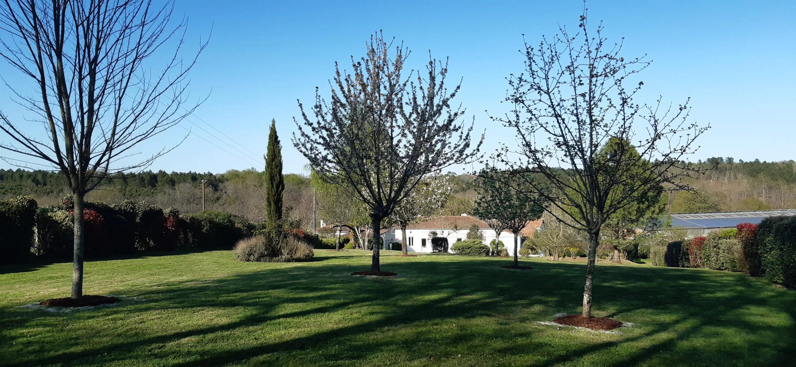 Charming single-level home with barn and outbuilding — love at first sight guaranteed, Poitou-Charentes – France – BVI84672