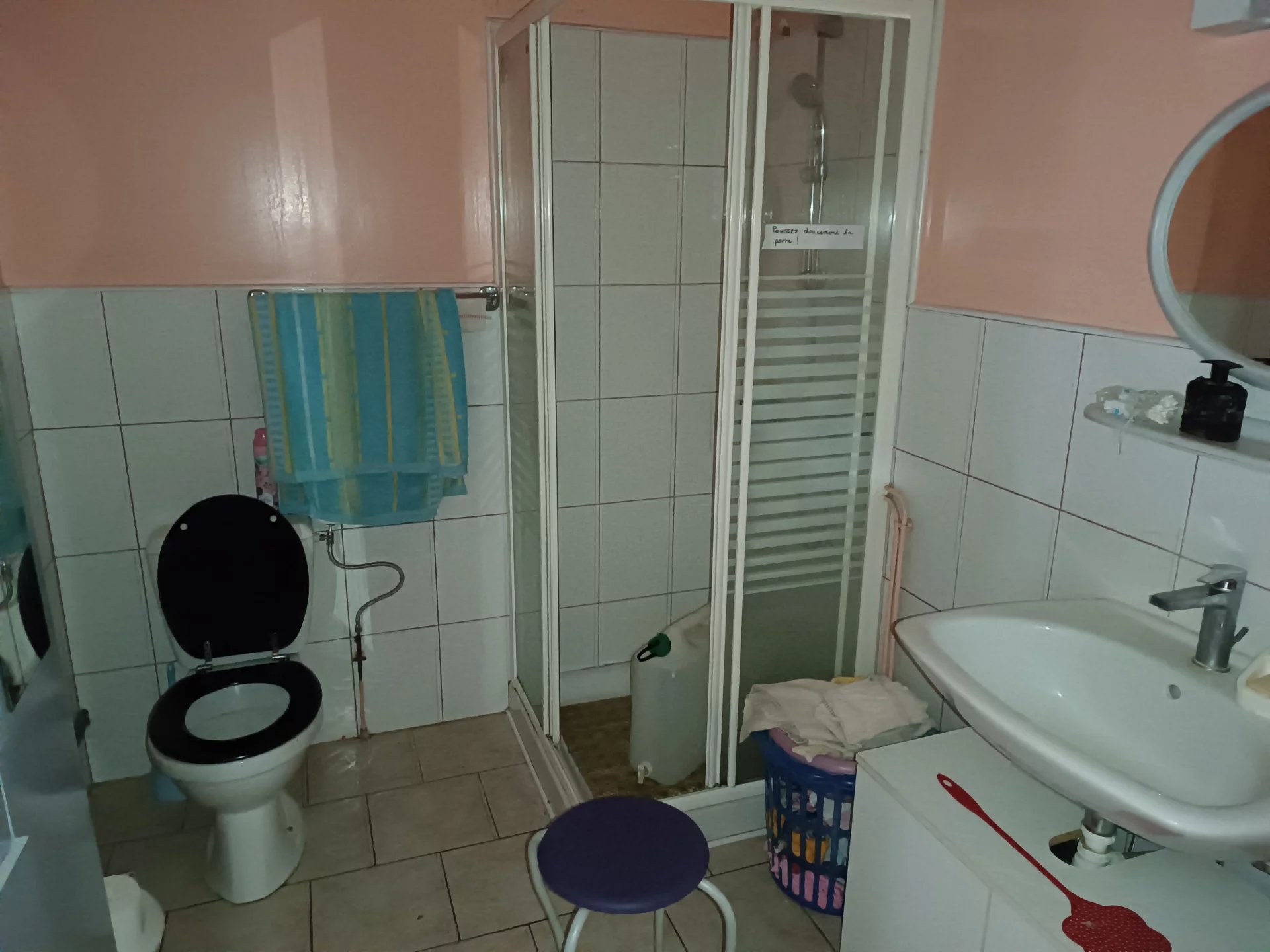 Farmhouse to renovate, Poitou-Charentes – France – BVI83605