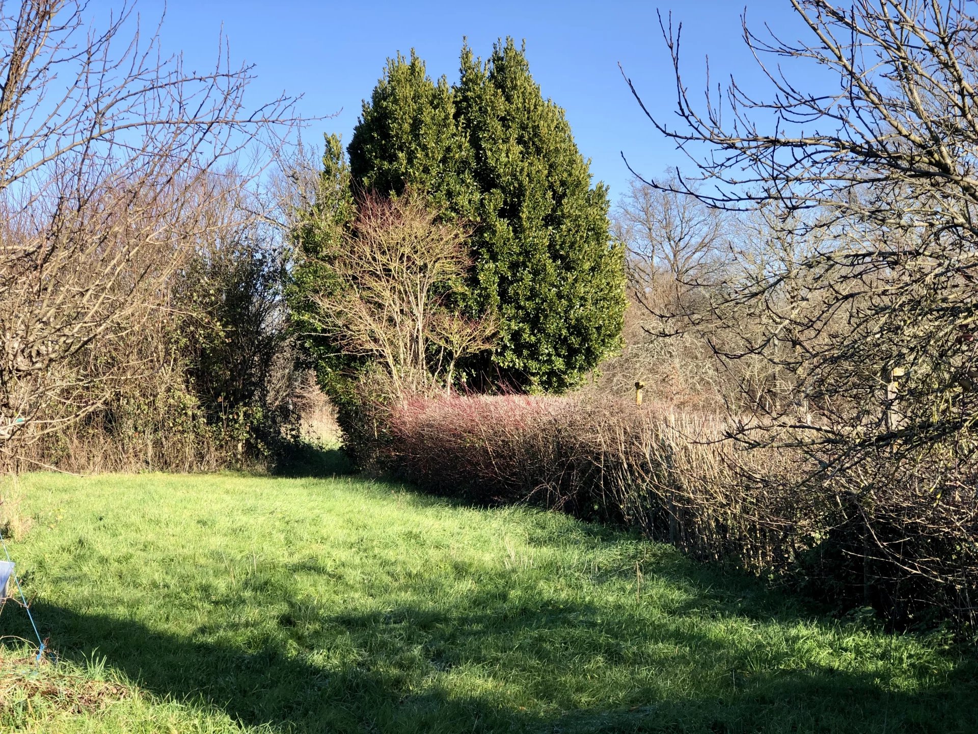 Cute Cottage with land and a barn, Limousin – France – BVI78575