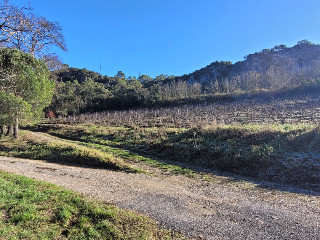 11 bedroom Commercial in Beziers, France – b1275000ee