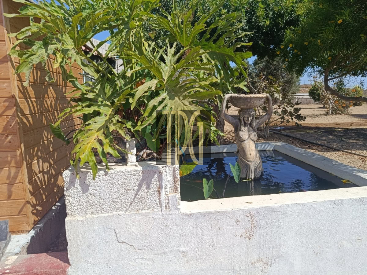 House with Land for Sale in Teguedite, Arico – OPN1918R