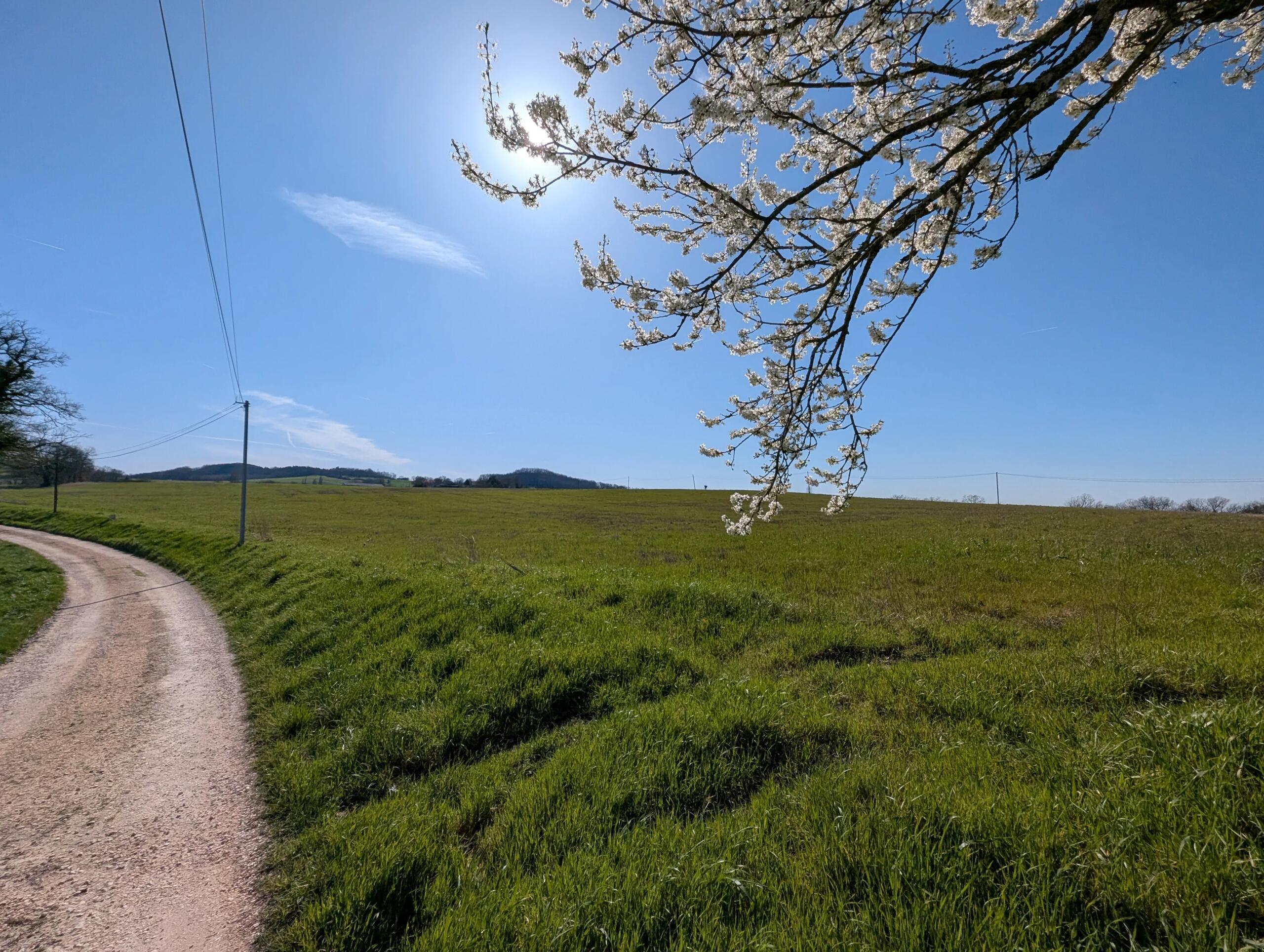 Lovely plot of land for up to 3 lots close to Monflanquin, Aquitaine – France – BVI84442