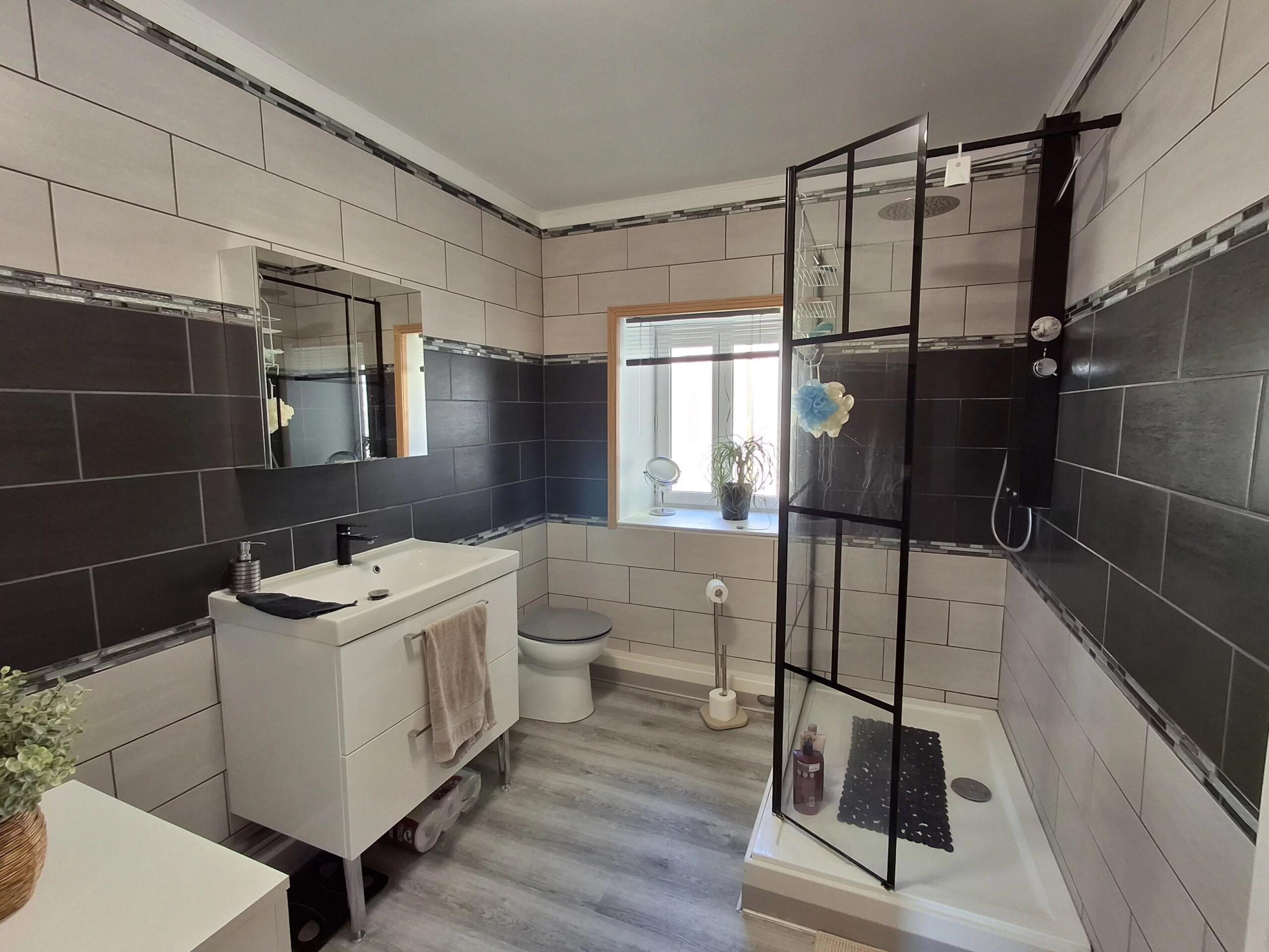 Characterful, pretty, energy efficient house in heart of village, Poitou-Charentes – France – BVI84719