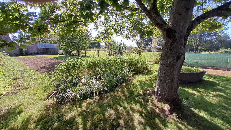 Charming Country house with ideal grounds for ponies, near Domfront in Orne, Normandy