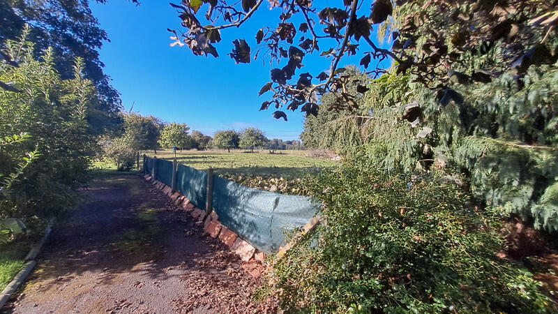 Charming Country house with ideal grounds for ponies, near Domfront in Orne, Normandy