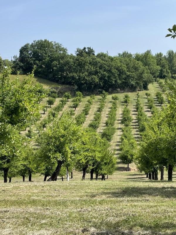 1 bedroom propriete in Mirabel, Tarn-et-Garonne, France