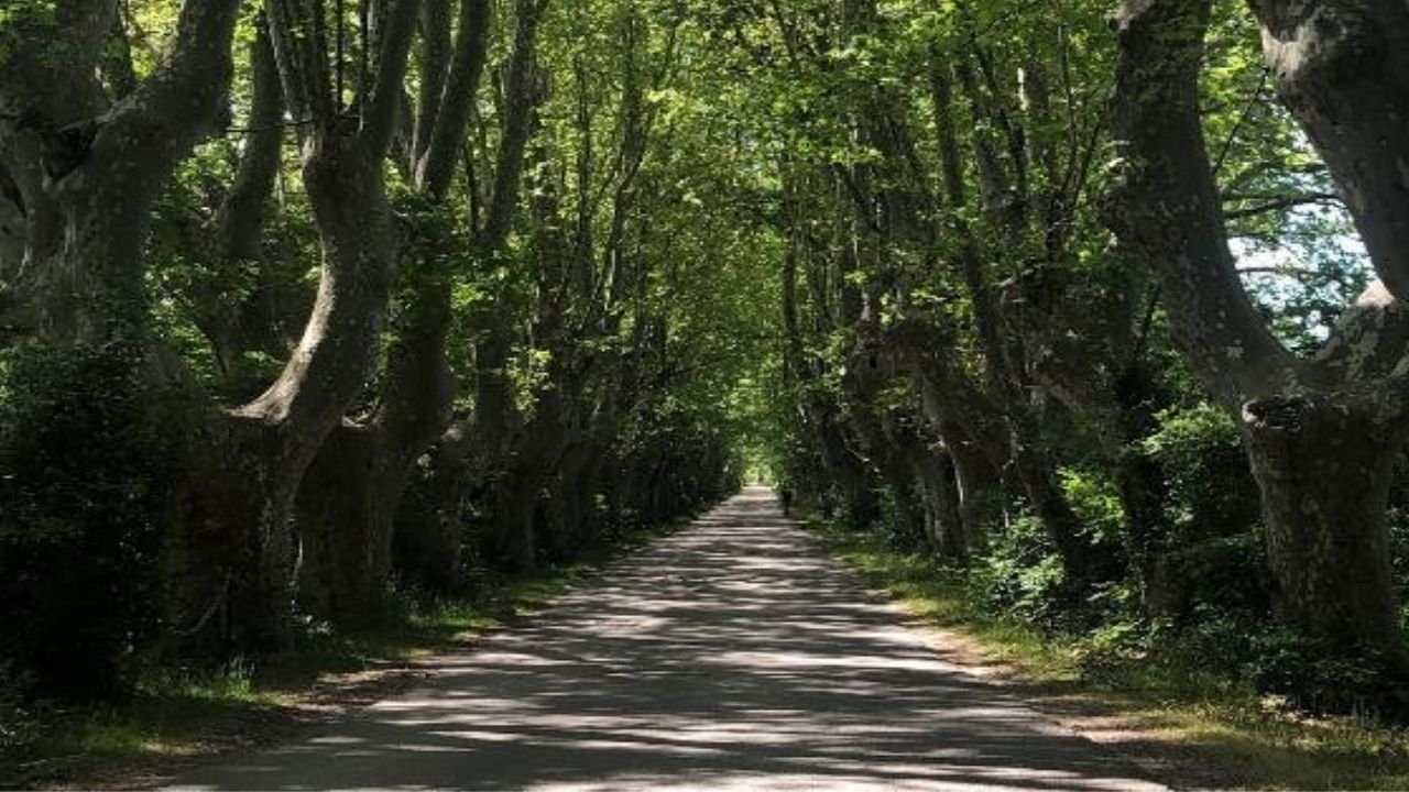 18 bedroom mas in Chateauneuf Du Pape, Vaucluse, France