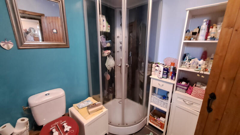 Beautiful, fully detached stone property situated in a peaceful rural setting, comprising 4 bedrooms and a holiday apartment, ideal for a seasonal rental business