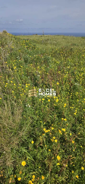 Agricultural Land in Gharb, Malta – 67002