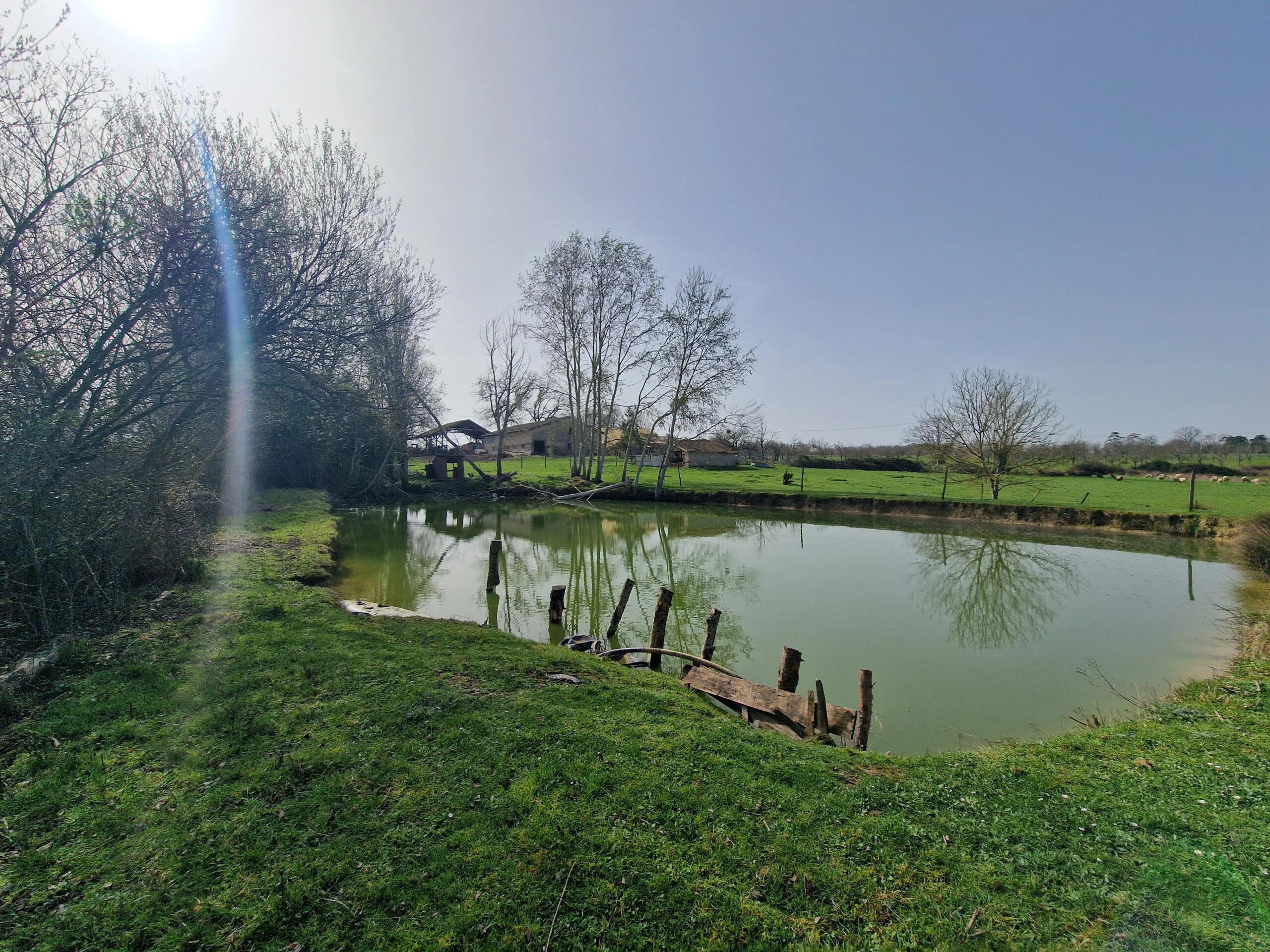 Character Farmhouse with Lake, Land and Limitless Potential, Aquitaine – France – BVI83844