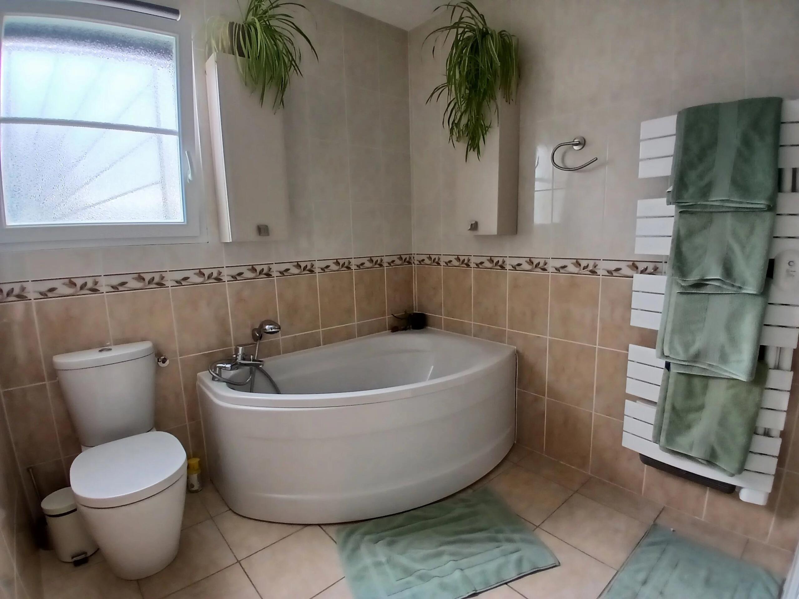 Beautiful, spacious villa with heated swimming pool, Poitou-Charentes – France – BVI84695