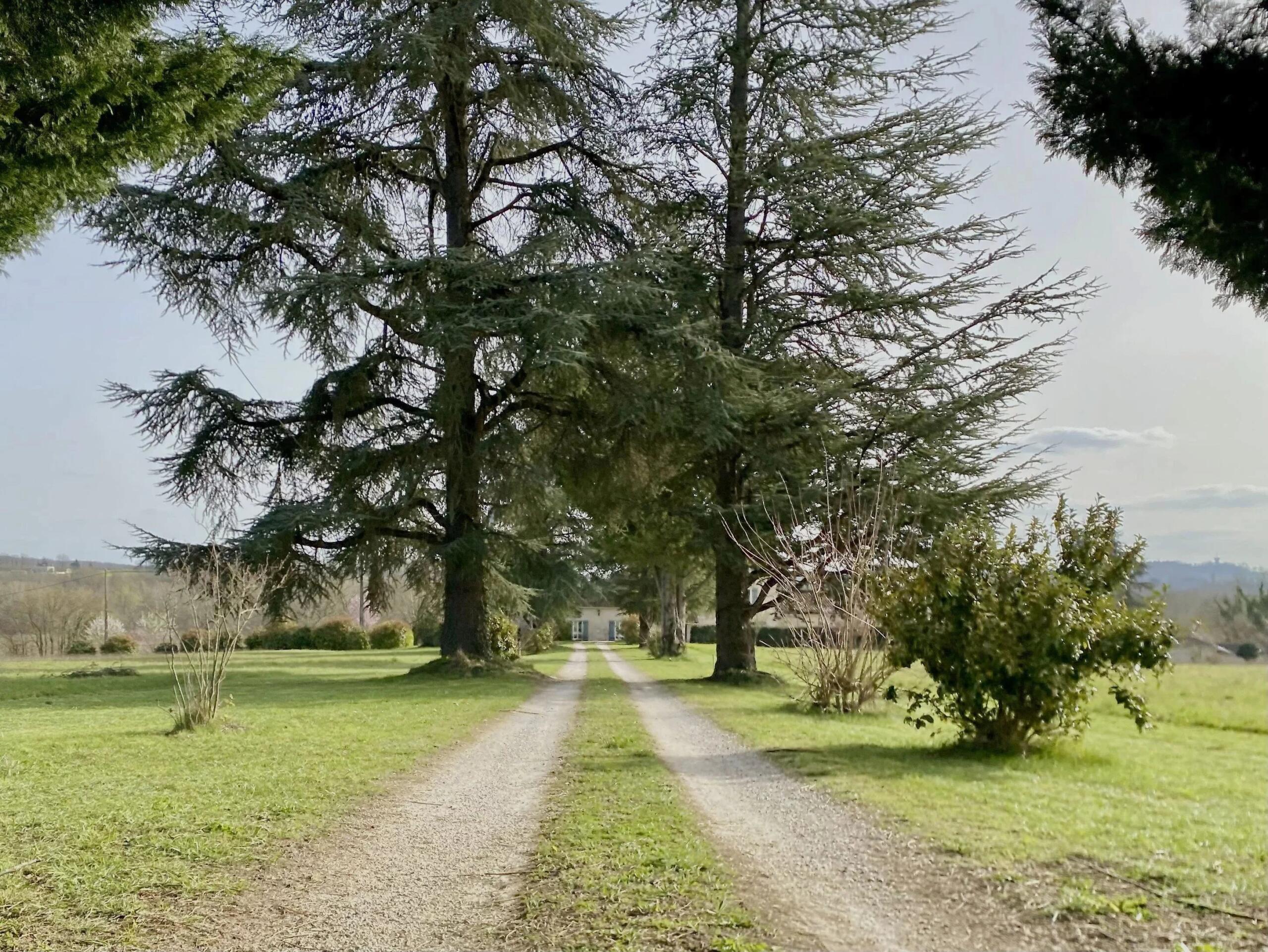 Very nice restoration for this stone house surrounded by its 3.5 hectares of meadows, Aquitaine – France – BVI84334
