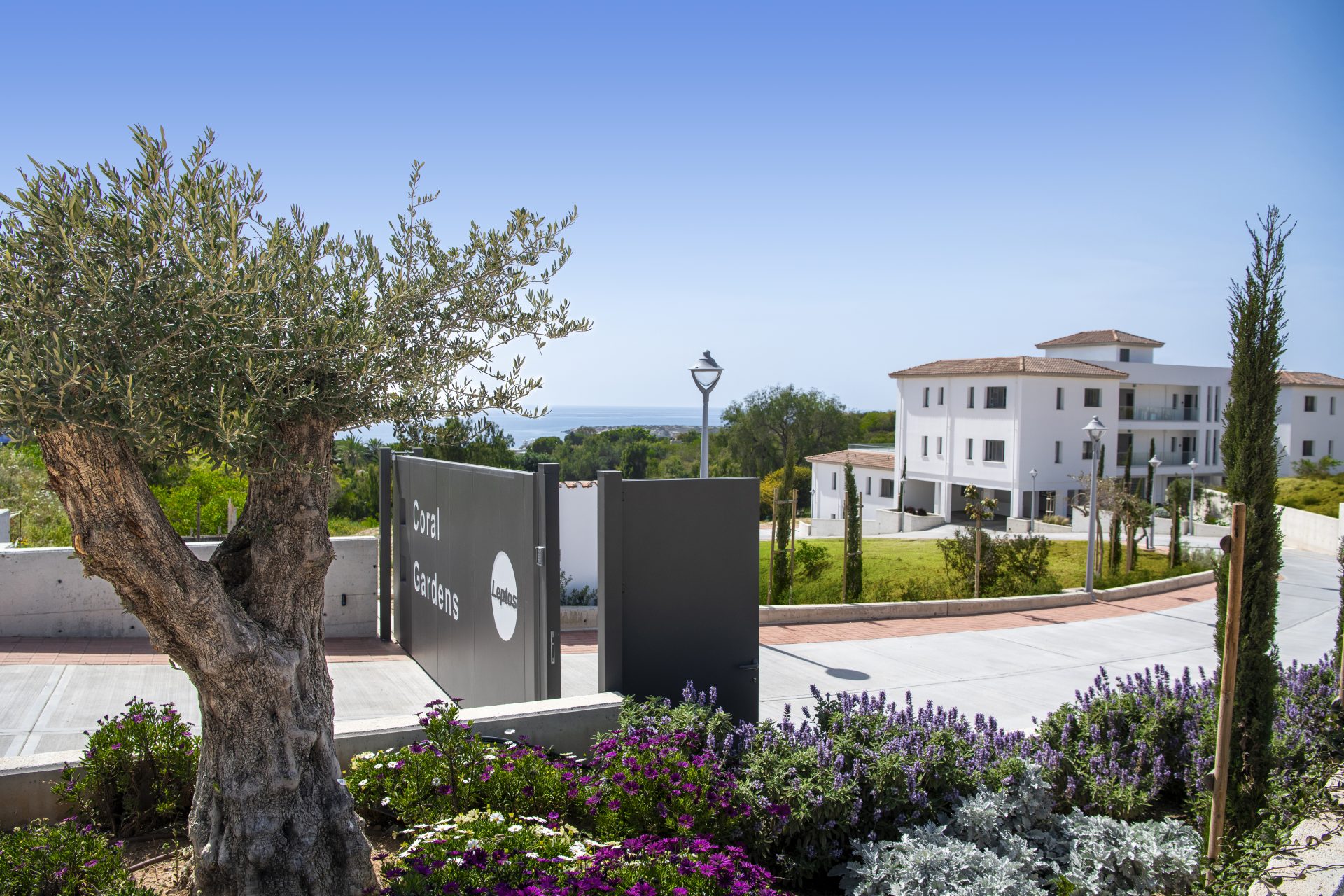 3 bedroom Villas / Houses in Coral Bay, Paphos, Cyprus – A-CORALG-MB3-M4