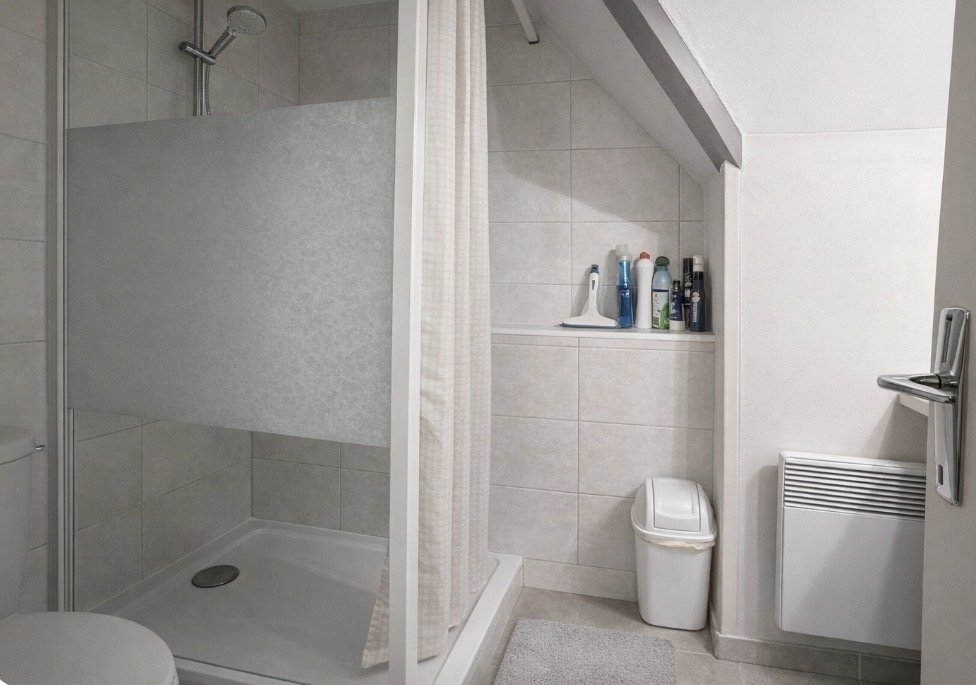 1 bedroom t2 in Laveissiere, Cantal, France