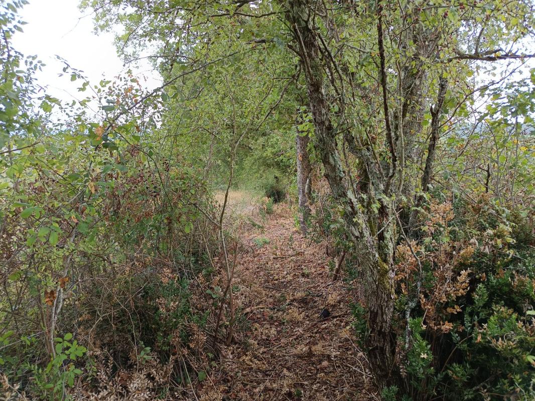 terrain agricole in Carmaux, Tarn, France