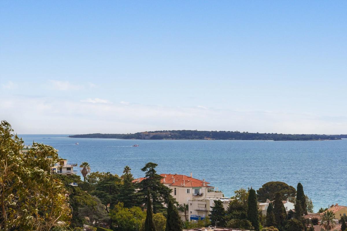 1 bedroom studio in Cannes, Alpes-Maritimes, France