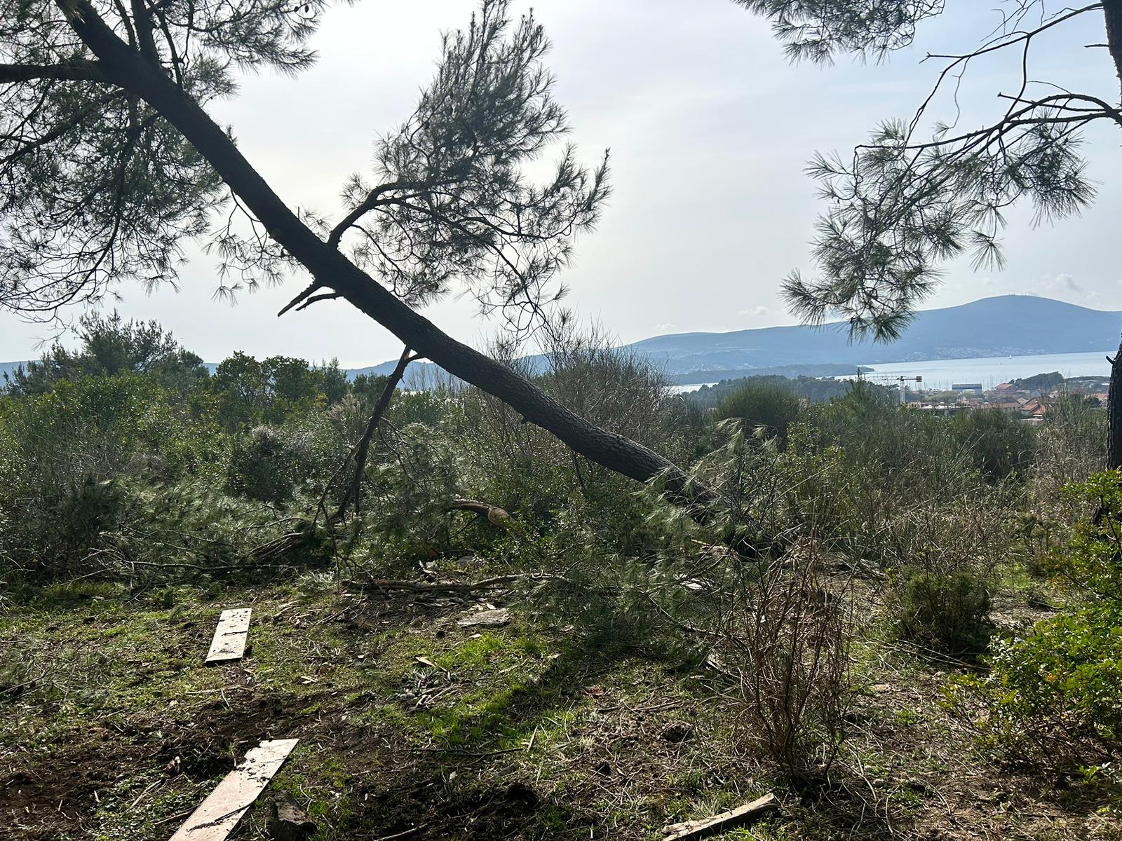 Urbanized Land Plot with Sea View in Tivat – Mrčevac, 1602 m²