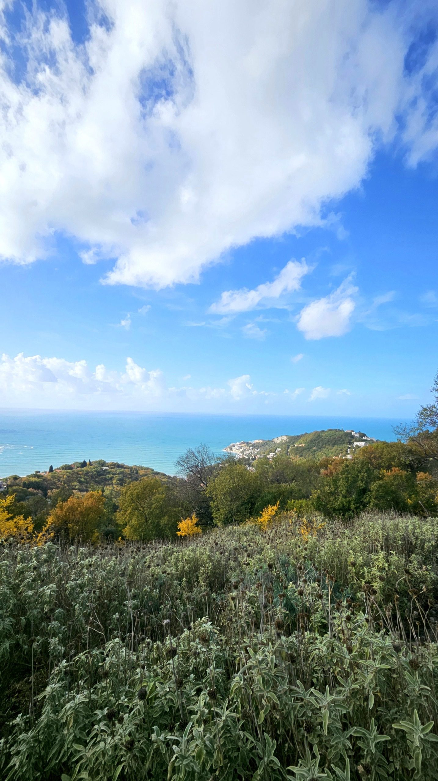 Land plot with an old stone house, Montenegro – MRE1522