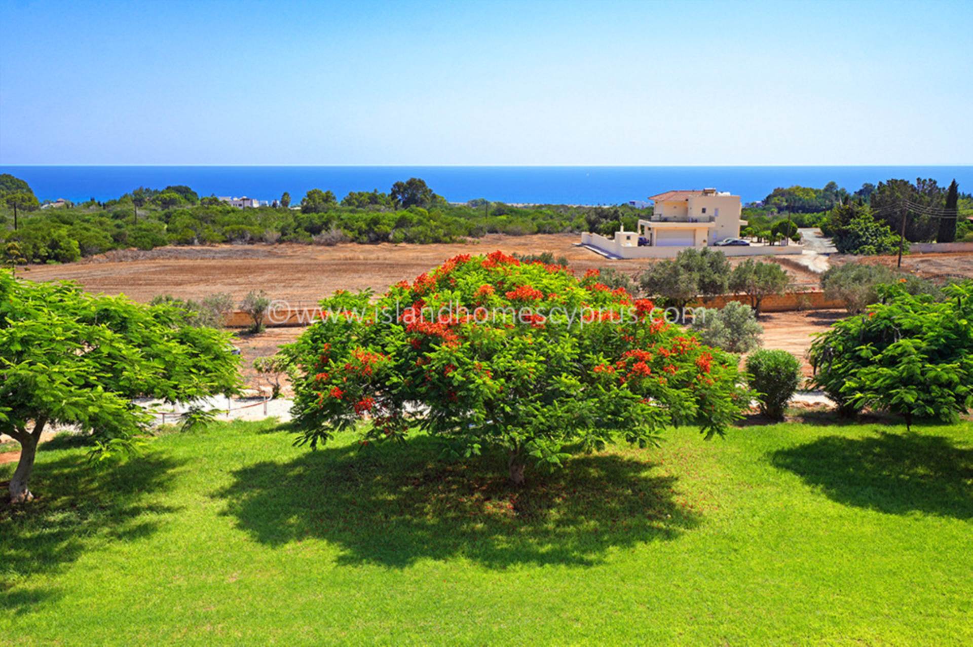 3 bedroom Detached in Ayia Napa, Famagusta, Cyprus – AyN155dp