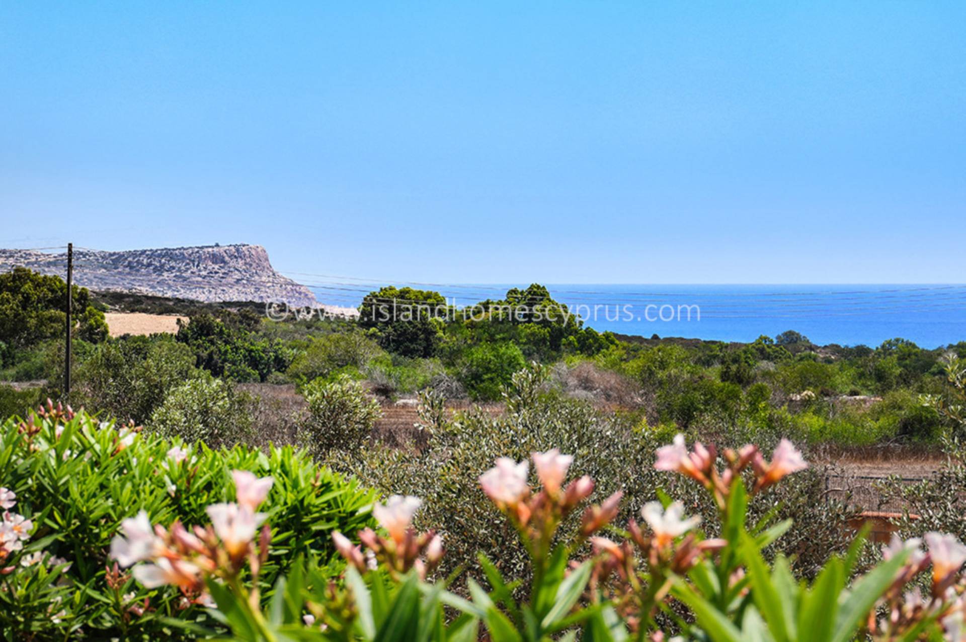 3 bedroom Detached in Ayia Napa, Famagusta, Cyprus – AyN155dp