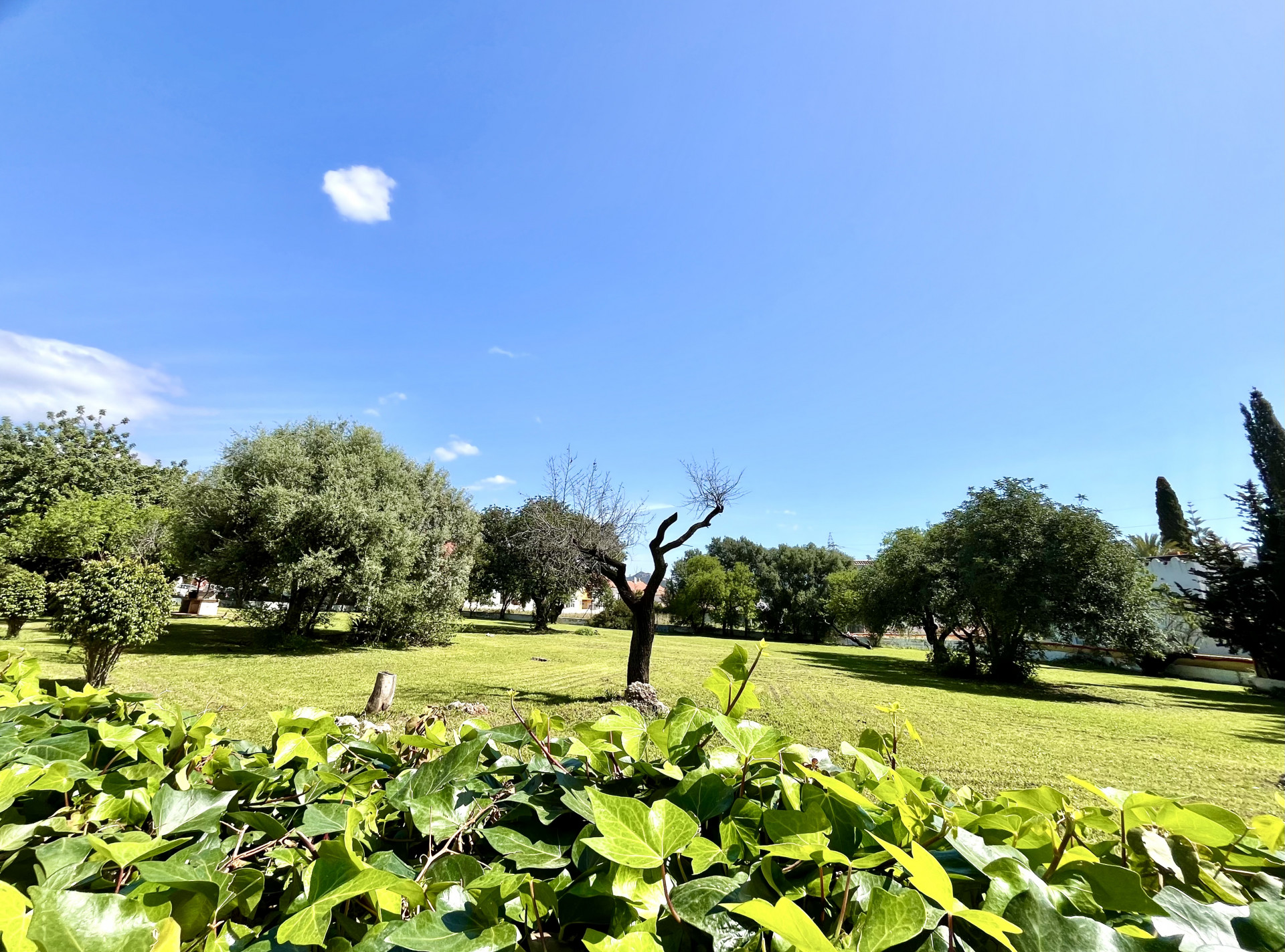 2 bedroom Apartment in Marbella, Malaga, Spain – 428-05327P