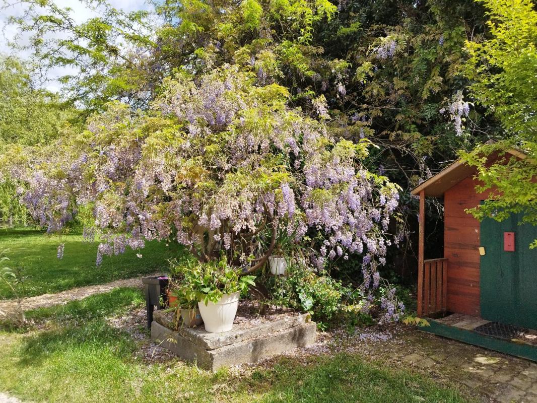 6 bedroom maison ancienne in Montauban, Tarn-et-Garonne, France