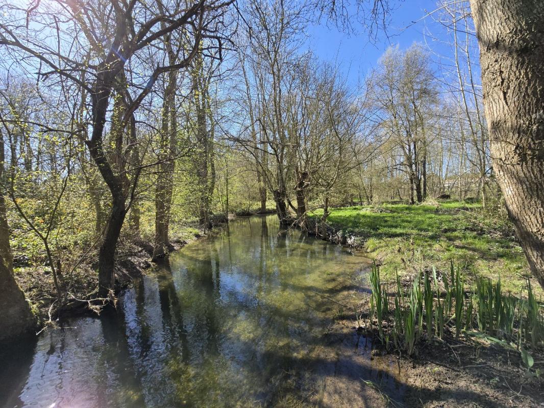 4 bedroom maison in Saint Pierre De Juillers, Charente-Maritime, France