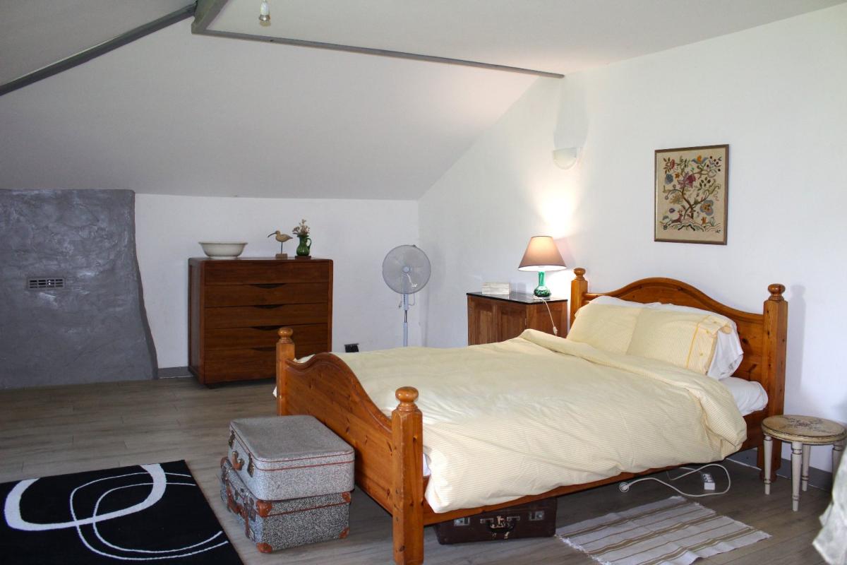 8 bedroom maison in Bussiere Poitevine, Haute-Vienne, France