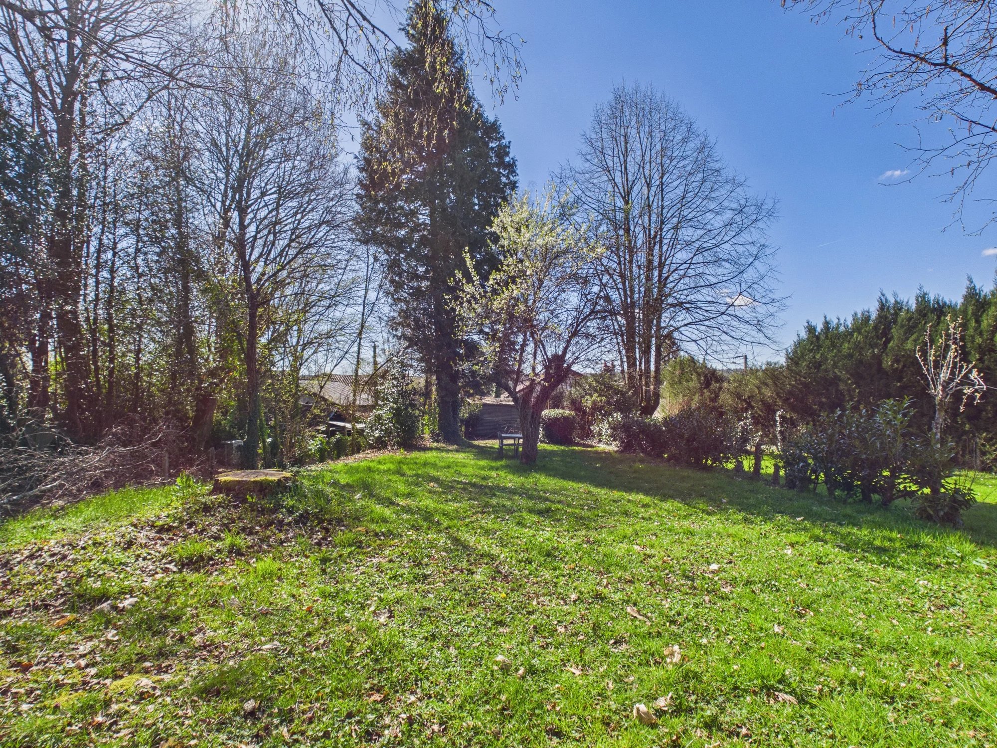 Light, space and potential – woodland and outbuildings, Limousin – France – BVI84324