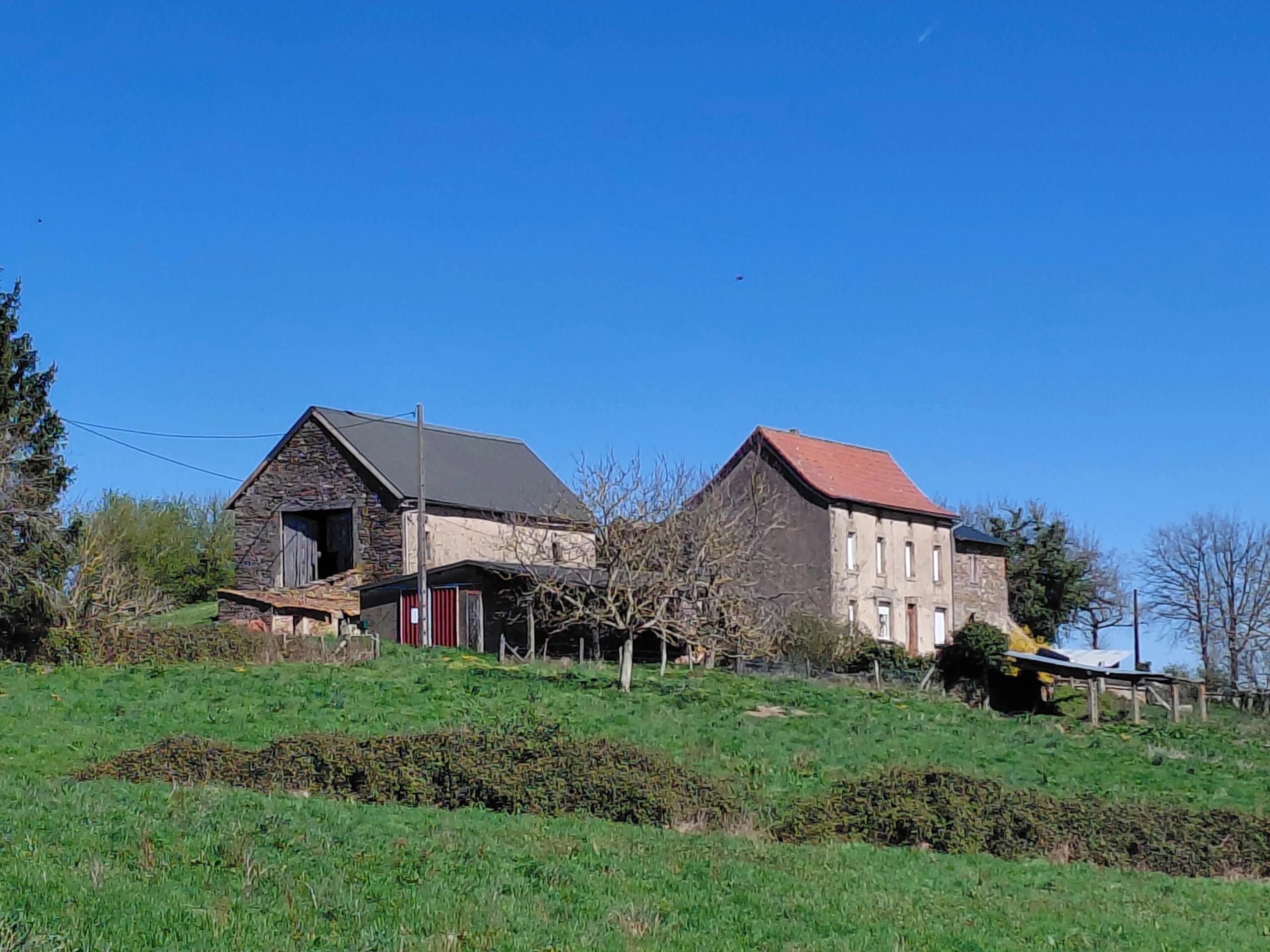 Farm with nearly 60 acres of land and possibilty to buy more, Midi-Pyrénées – France – BVI84885
