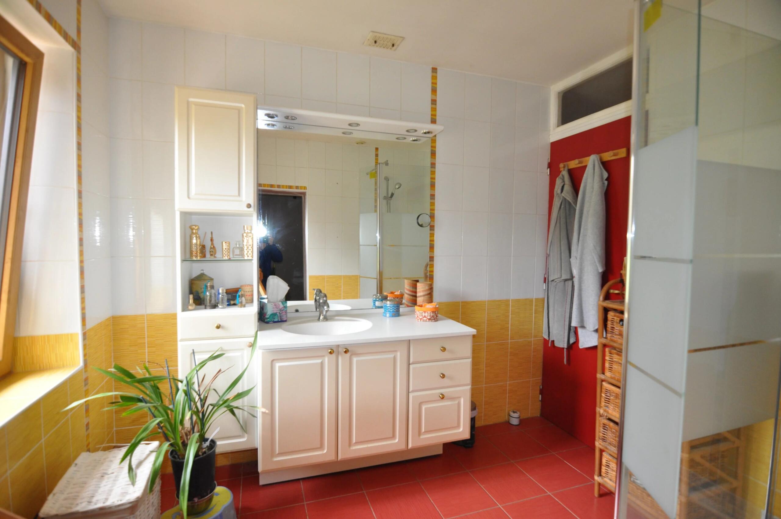 Property with 320 m² of living space, 7 bedrooms, 2.6 ha of land, Poitou-Charentes – France – BVI84615