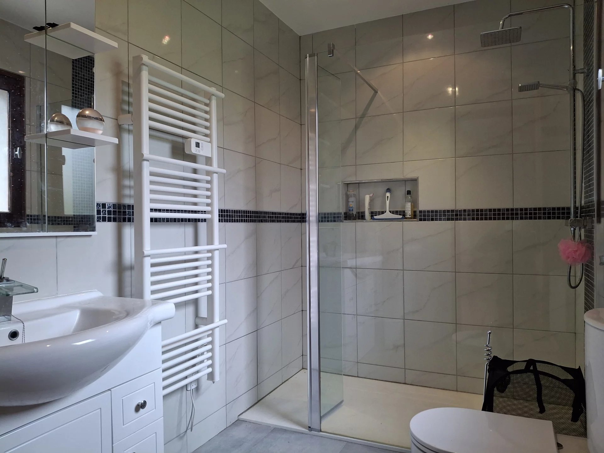 Charming Country Home in Alloue with Vaste Garages, Outbuilding and Spa, Poitou-Charentes – France – BVI78317