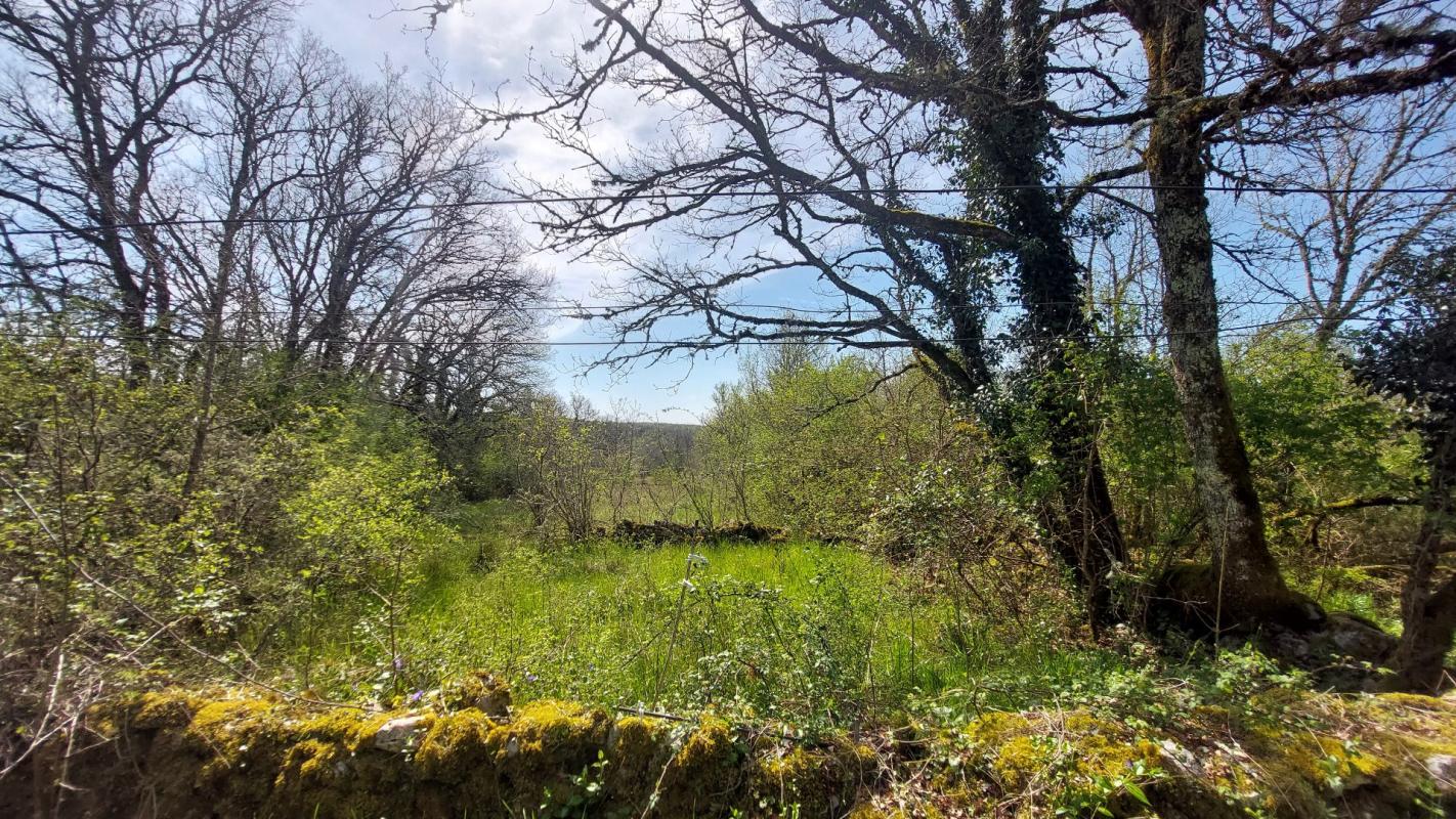 6 bedroom maison in Saillac, Lot, France