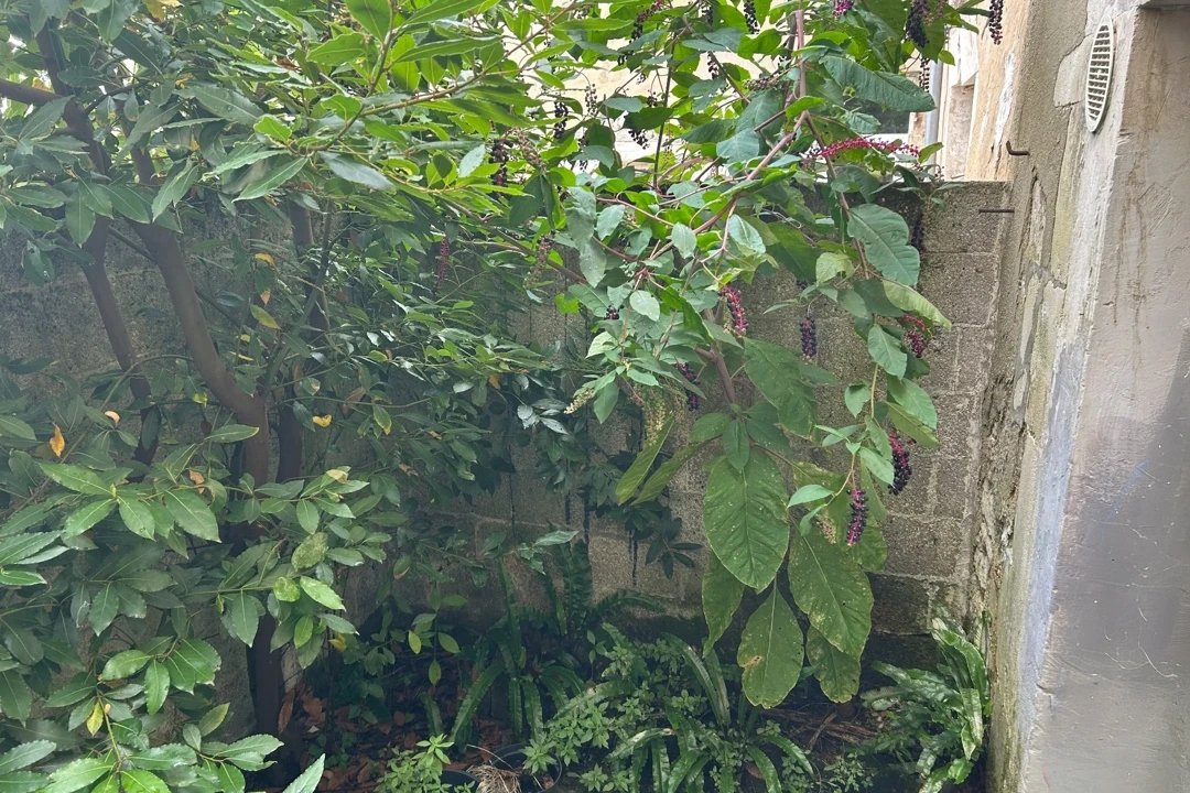 2 bedroom maison in Saint Jean D’angely, Charente-Maritime, France