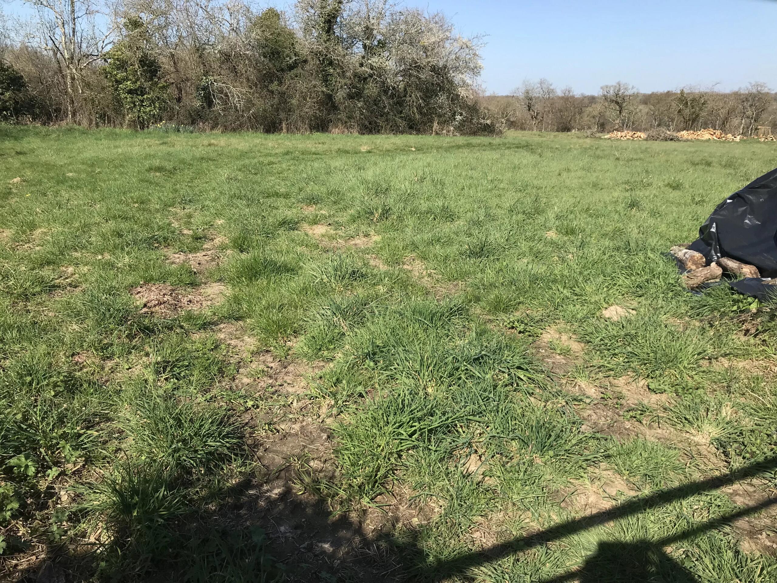 Detached end of village cottage to refresh, Limousin – France – BVI83956