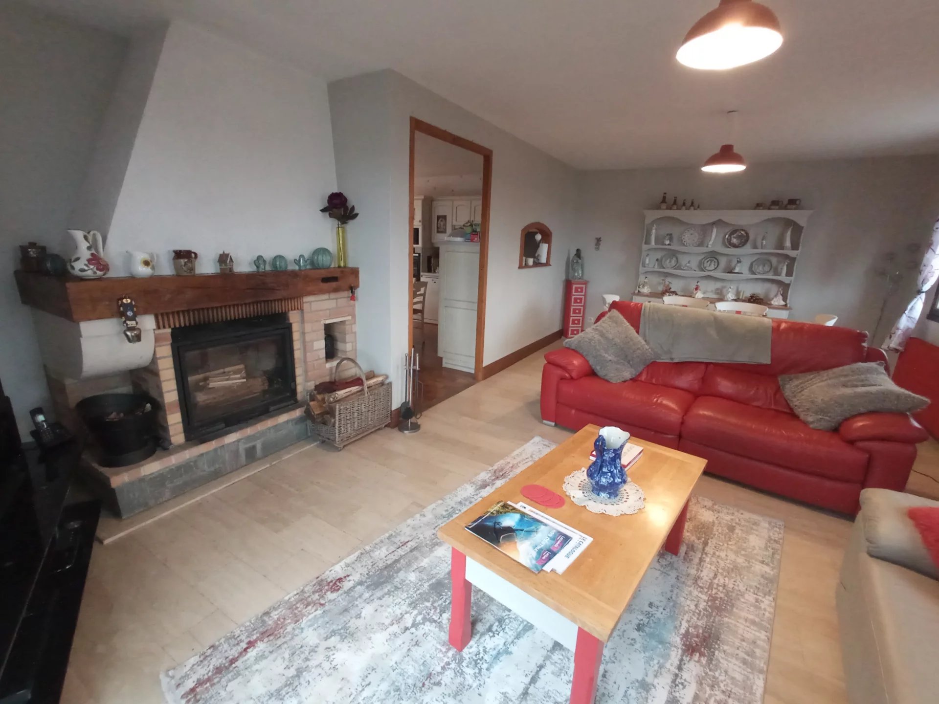 Detached spacious house, on edge of  village, surrounded by garden and luxury lounge area, Poitou-Charentes – France – BVI78032