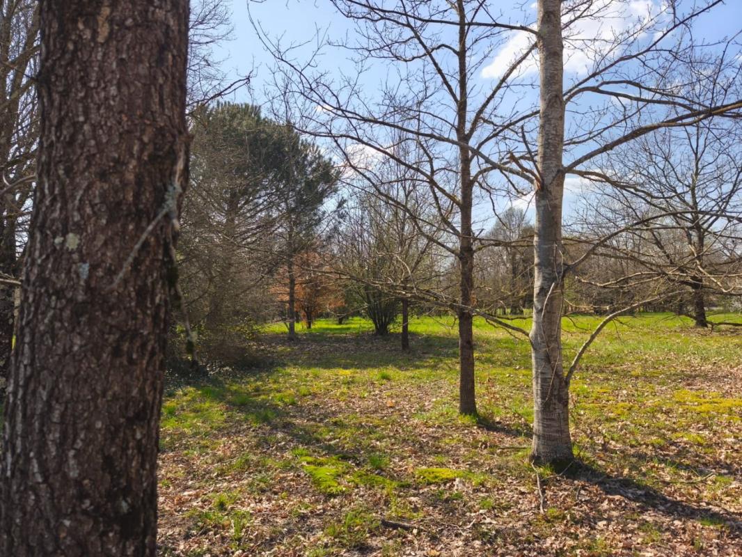 terrain in Negrepelisse, Tarn-et-Garonne, France