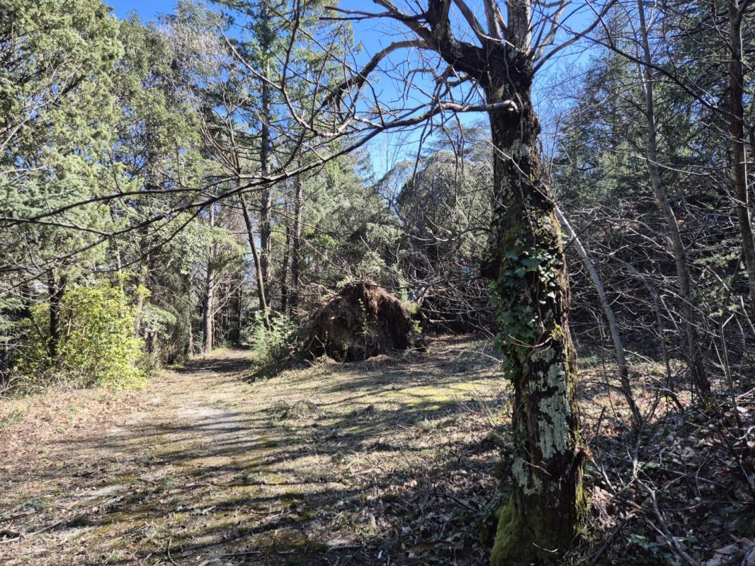 6 bedroom maison in Olargues, Hérault, France